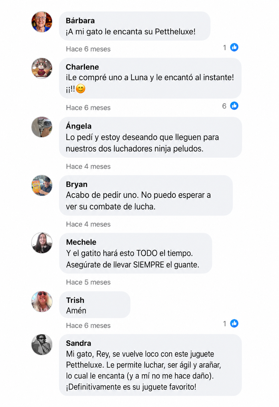Captura de comentarios 2