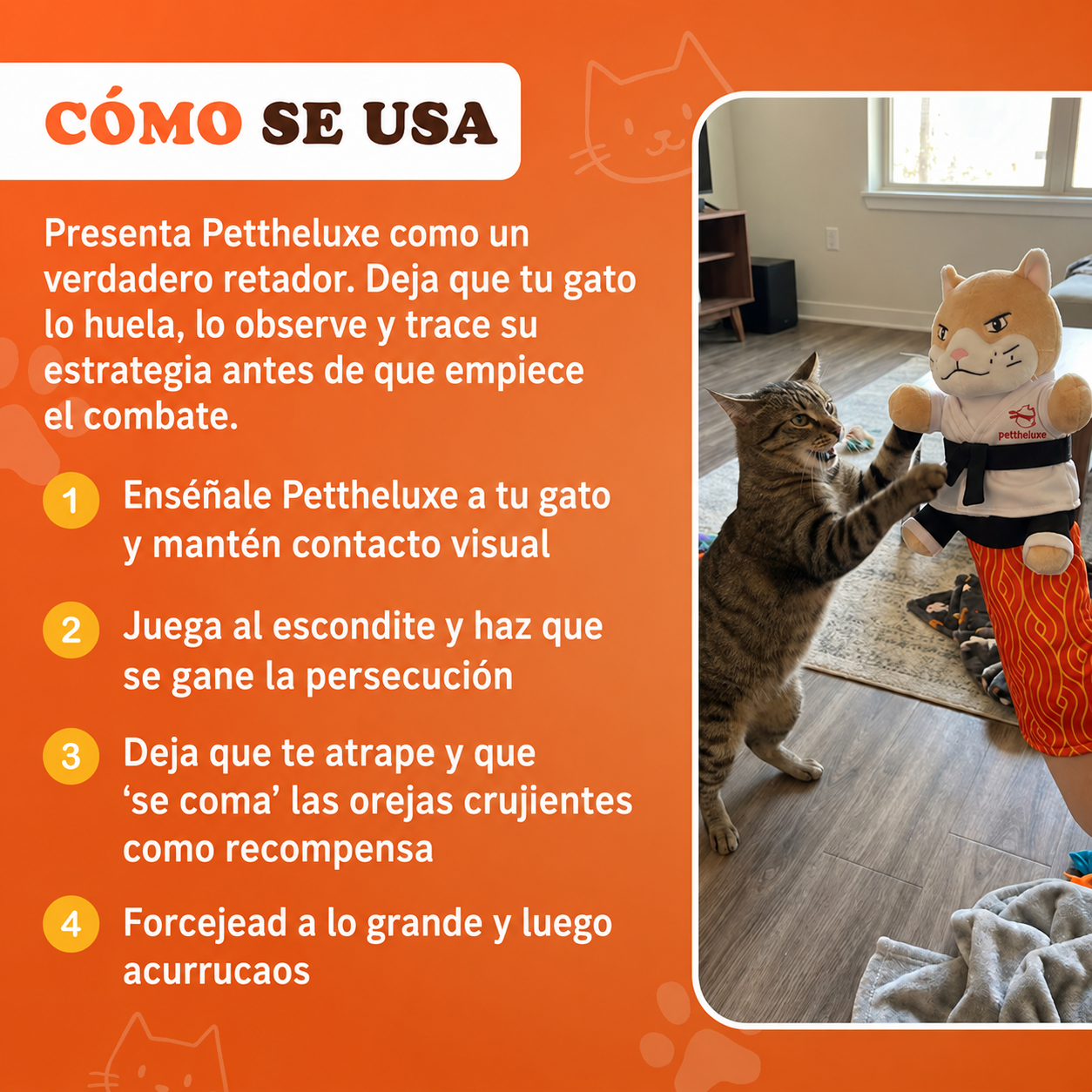 Peluche para gatos | Pettheluxe